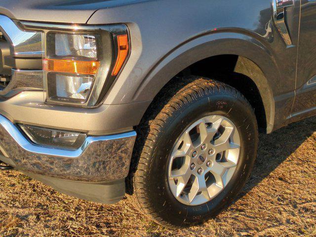 used 2023 Ford F-150 car, priced at $36,273