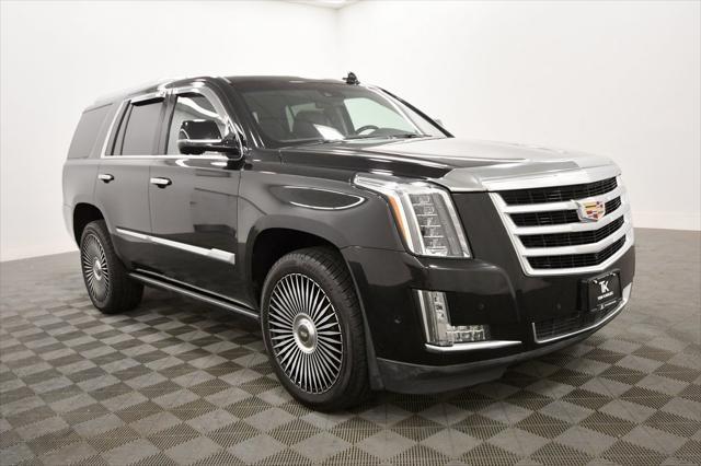 used 2019 Cadillac Escalade car, priced at $40,499