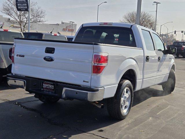 used 2010 Ford F-150 car