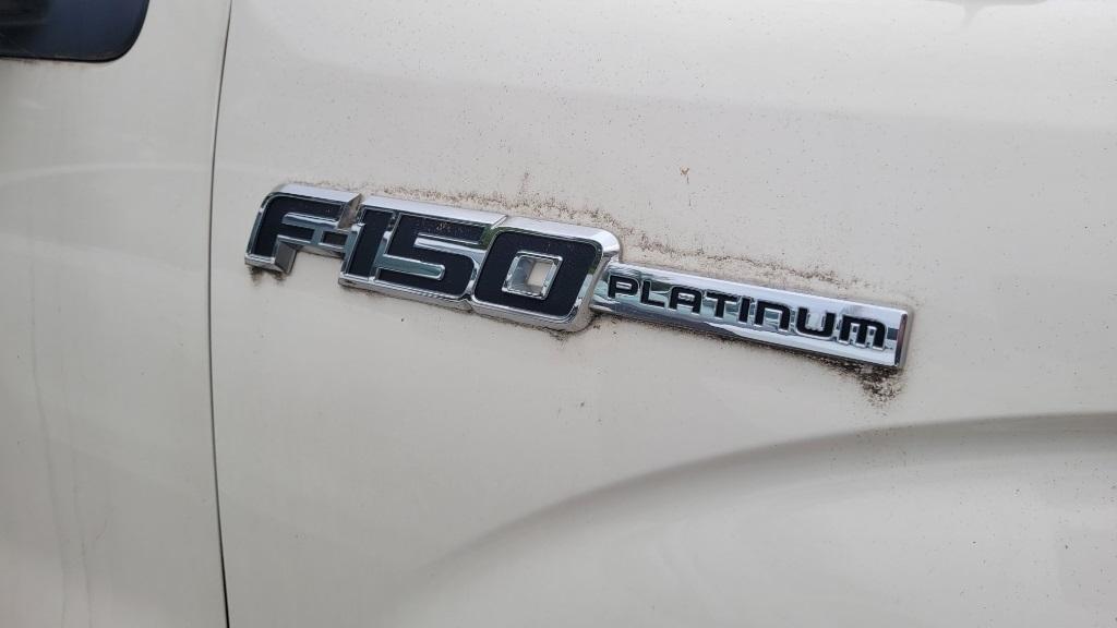 used 2009 Ford F-150 car