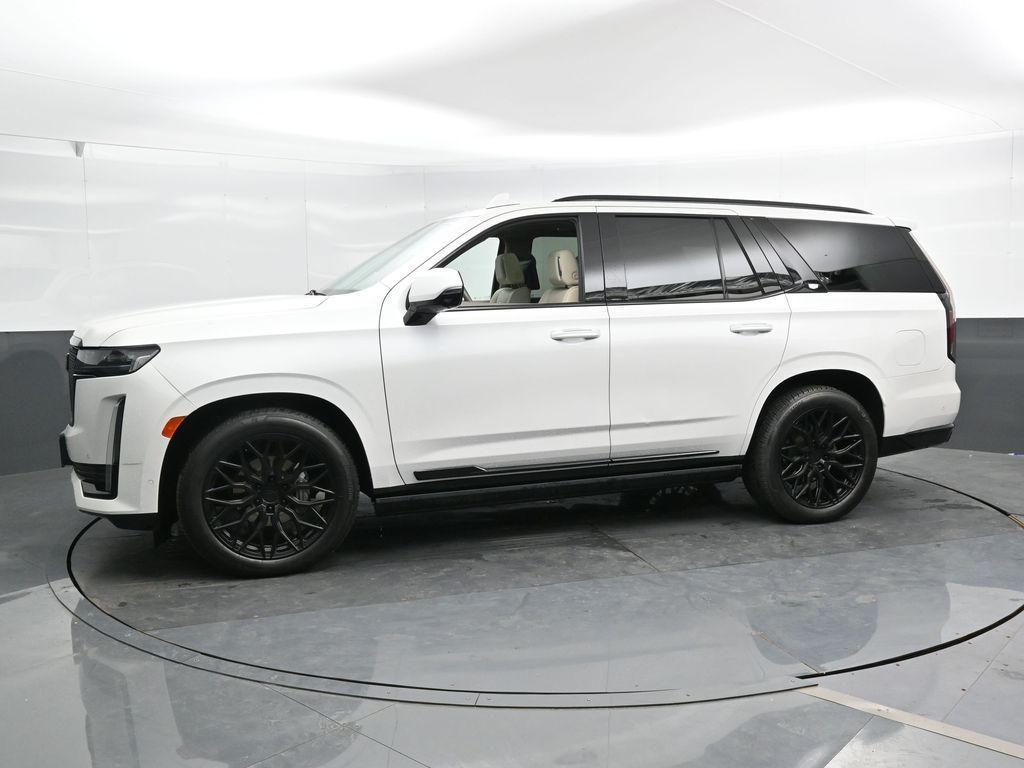 used 2021 Cadillac Escalade car, priced at $66,591