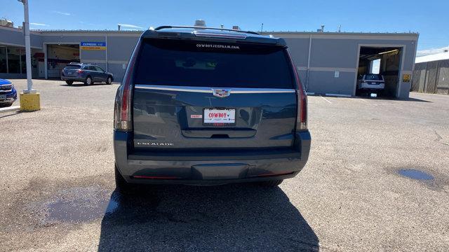 used 2019 Cadillac Escalade car, priced at $42,218