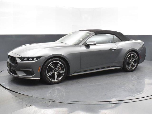 used 2024 Ford Mustang car, priced at $30,000