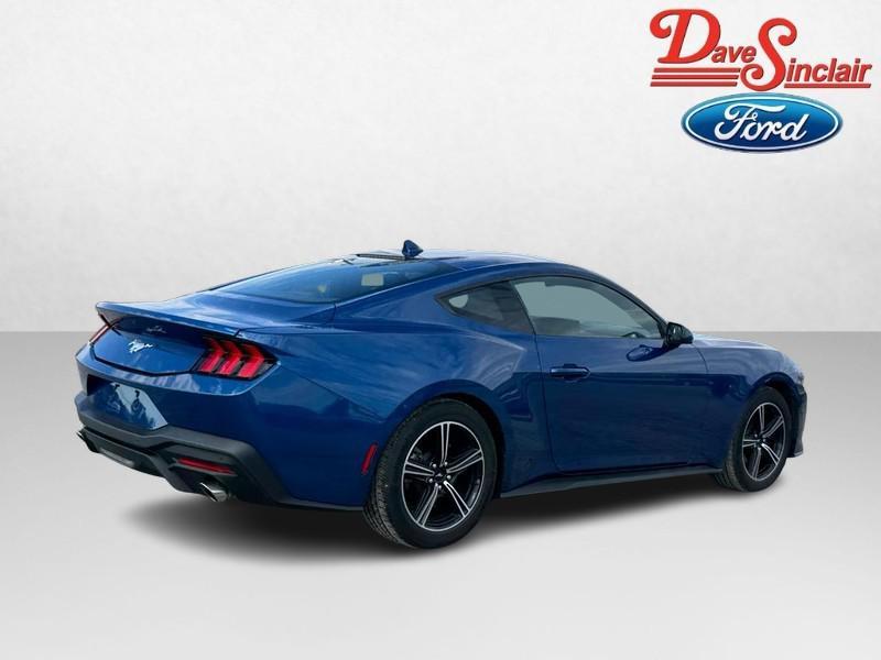 used 2024 Ford Mustang car, priced at $32,120