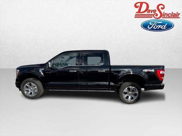 used 2023 Ford F-150 car, priced at $49,995