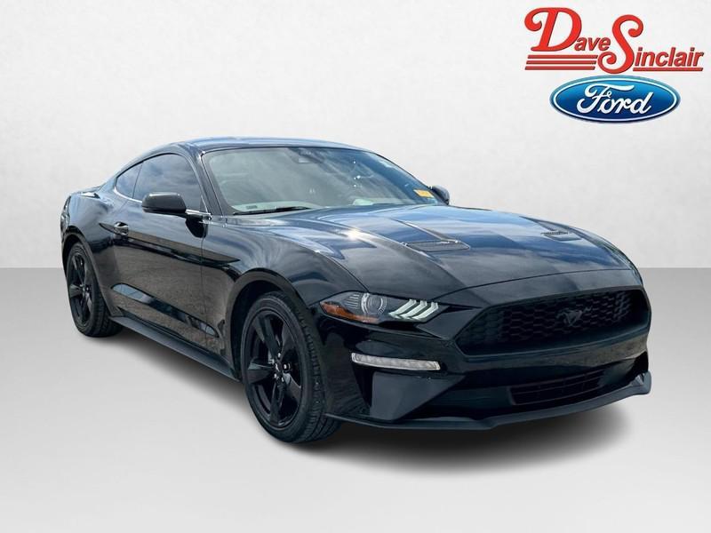 used 2023 Ford Mustang car, priced at $28,995