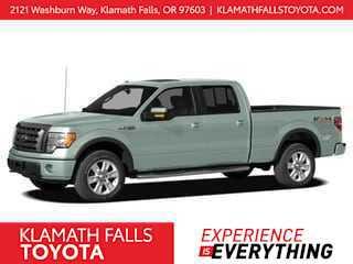 used 2010 Ford F-150 car