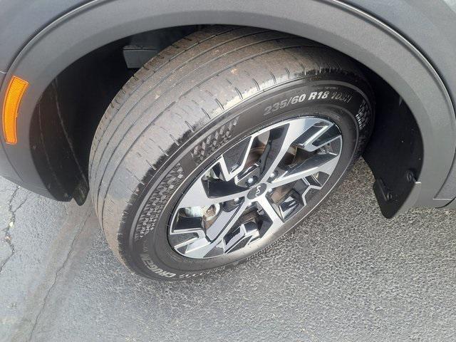 used 2024 Kia Sportage car, priced at $25,488