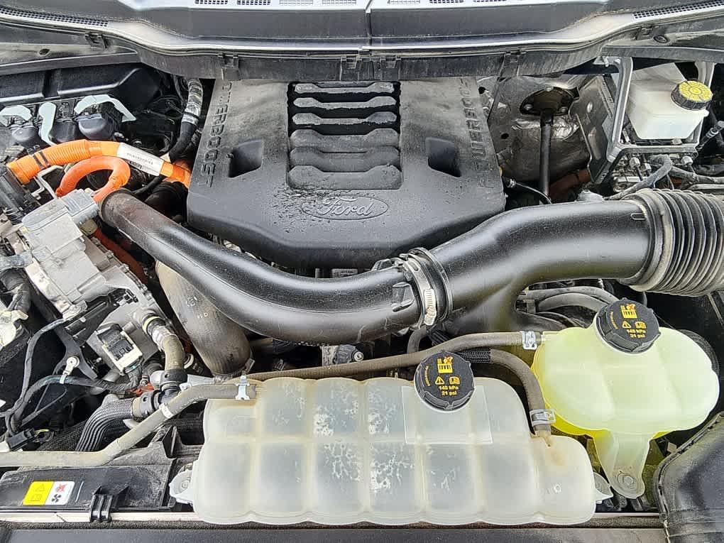 used 2021 Ford F-150 car, priced at $31,918