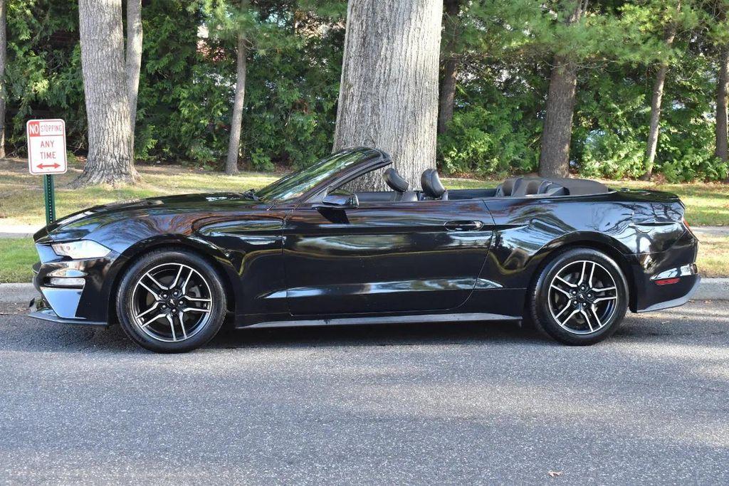 used 2019 Ford Mustang car, priced at $16,995