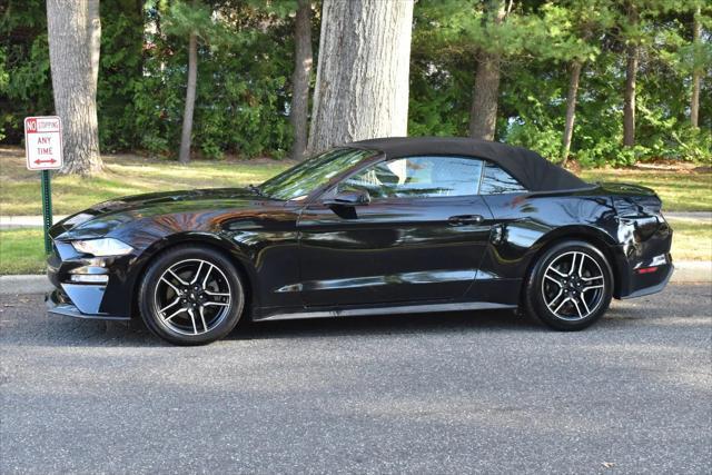 used 2019 Ford Mustang car, priced at $16,995