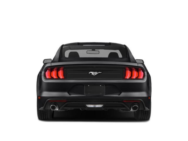 used 2019 Ford Mustang car, priced at $19,991