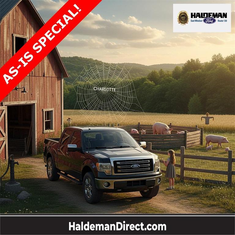 used 2013 Ford F-150 car, priced at $12,995