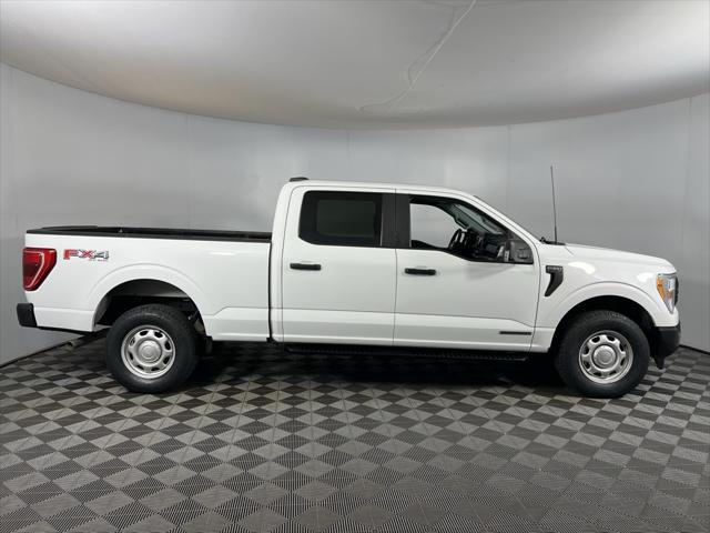 used 2021 Ford F-150 car, priced at $36,000