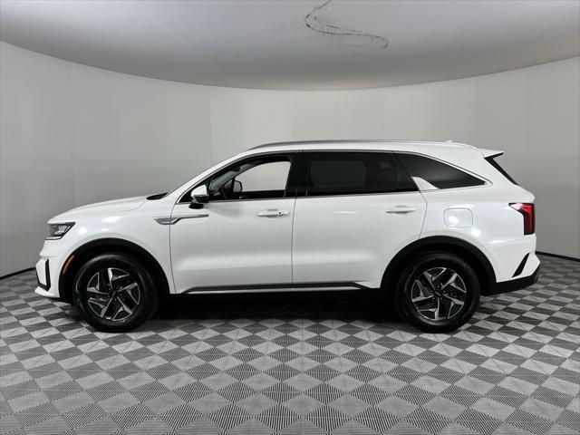 used 2023 Kia Sorento Hybrid car, priced at $31,000