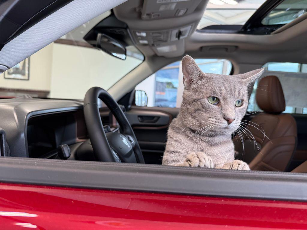 new 2026 Ford Escape car, priced at $35,328