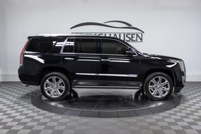 used 2019 Cadillac Escalade car, priced at $44,900