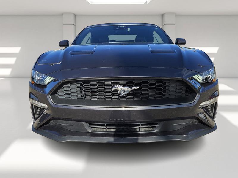 used 2023 Ford Mustang car, priced at $26,999