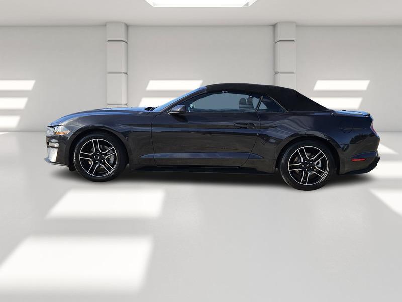 used 2023 Ford Mustang car, priced at $26,999