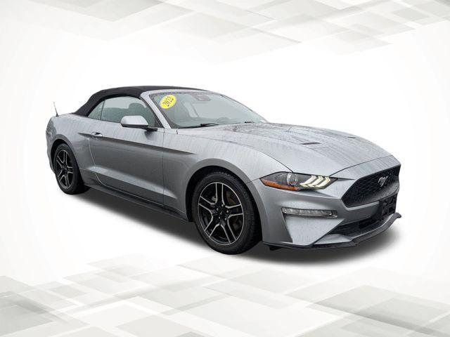 used 2022 Ford Mustang car