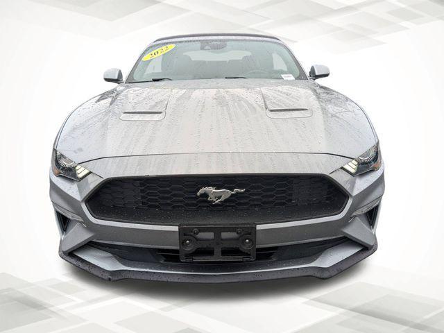 used 2022 Ford Mustang car