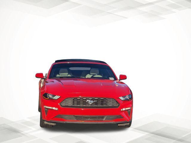 used 2019 Ford Mustang car, priced at $21,419