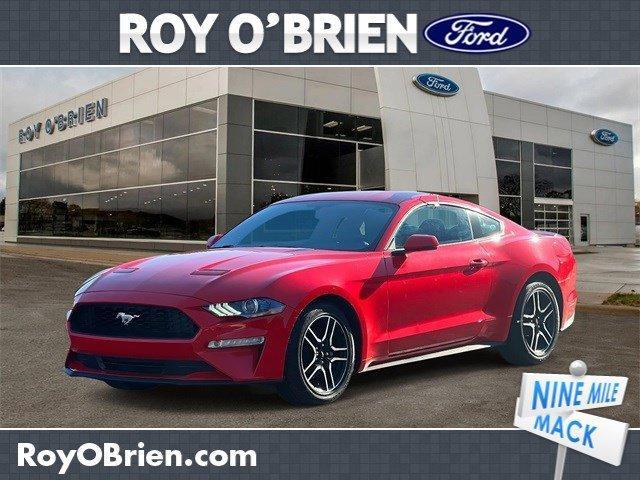 used 2019 Ford Mustang car, priced at $23,700