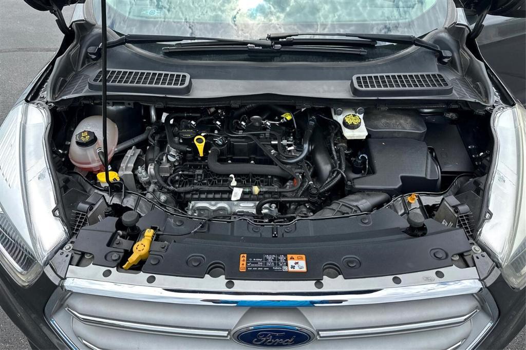 used 2019 Ford Escape car, priced at $17,995
