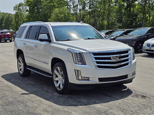 used 2019 Cadillac Escalade car, priced at $35,000