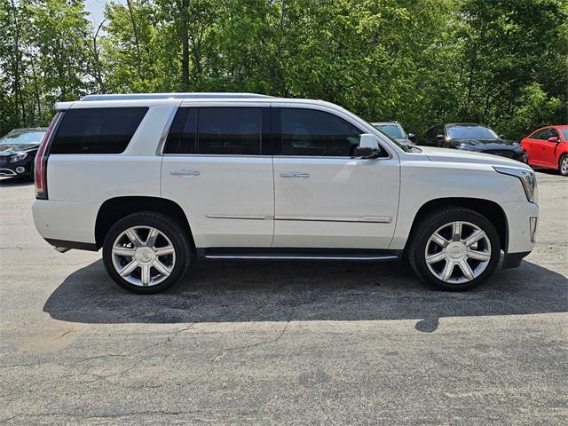 used 2019 Cadillac Escalade car, priced at $35,000