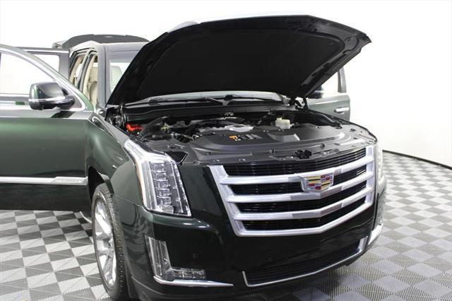 used 2016 Cadillac Escalade car, priced at $28,895