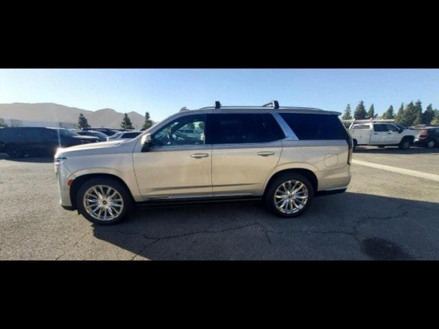 used 2021 Cadillac Escalade car, priced at $57,775