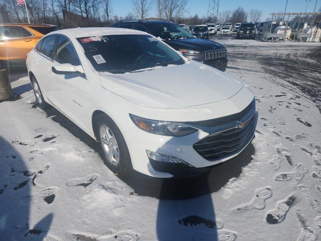 used 2024 Chevrolet Malibu car