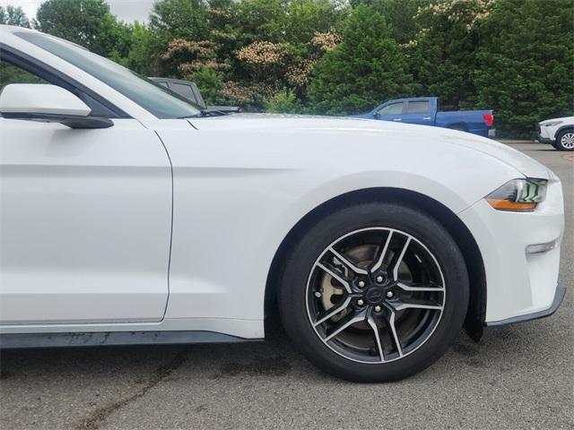 used 2021 Ford Mustang car, priced at $19,500