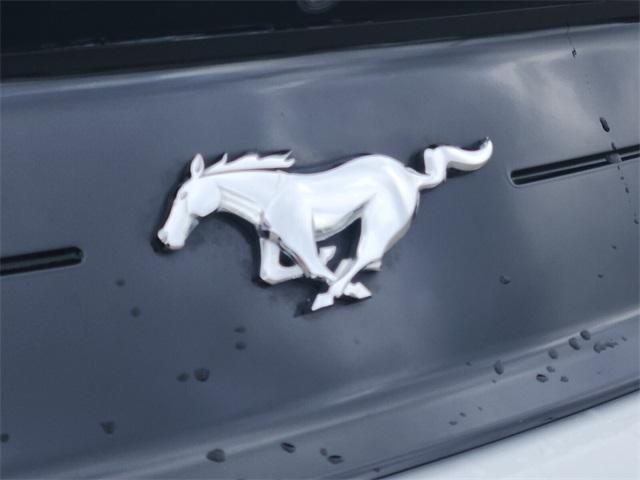 used 2021 Ford Mustang car, priced at $19,500