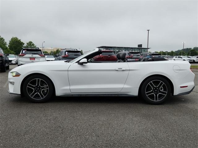 used 2020 Ford Mustang car, priced at $20,000