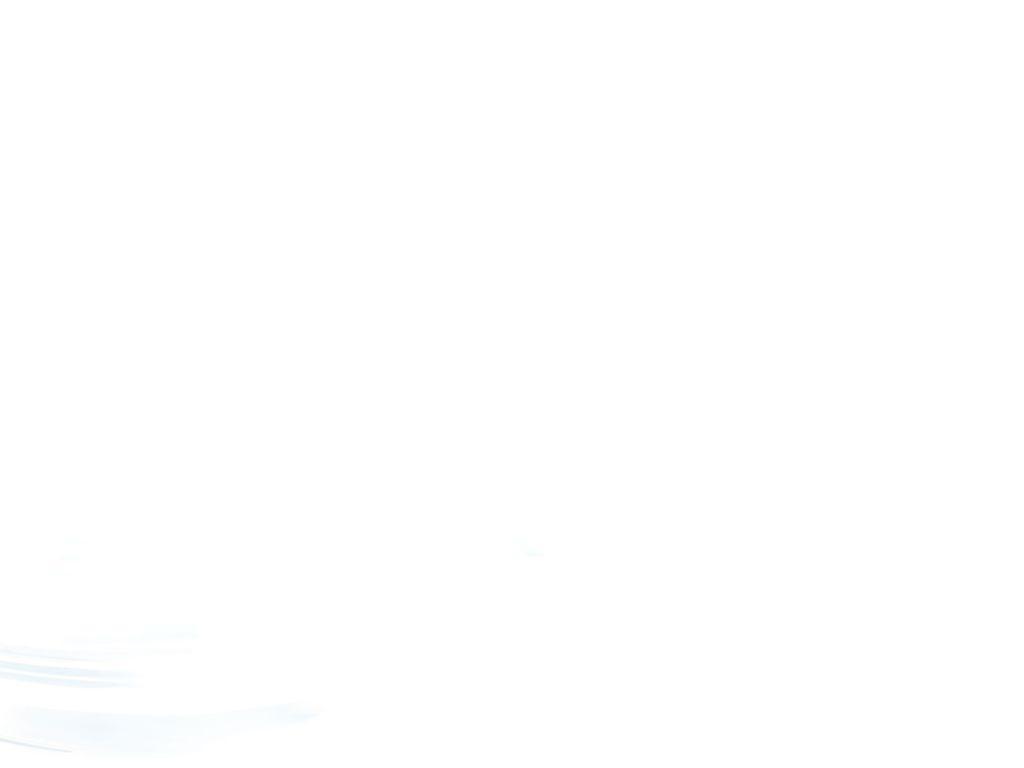 used 2019 Volkswagen Tiguan car