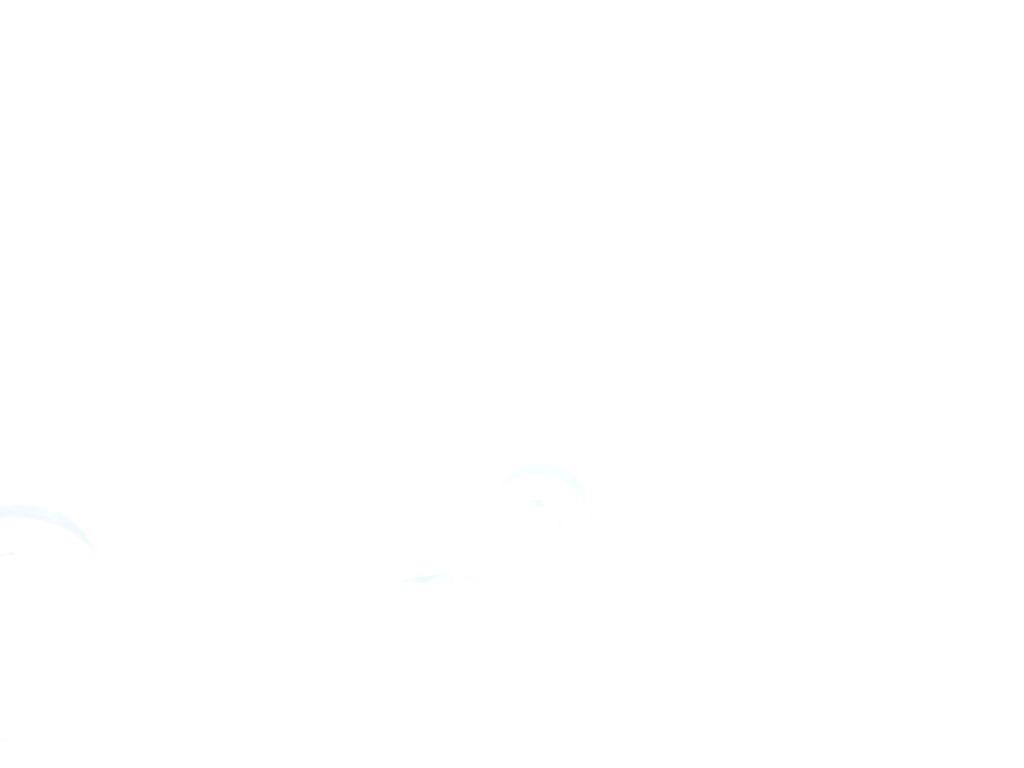 used 2019 Volkswagen Tiguan car