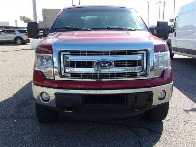 used 2014 Ford F-150 car