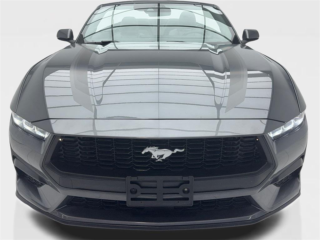 used 2024 Ford Mustang car, priced at $31,490