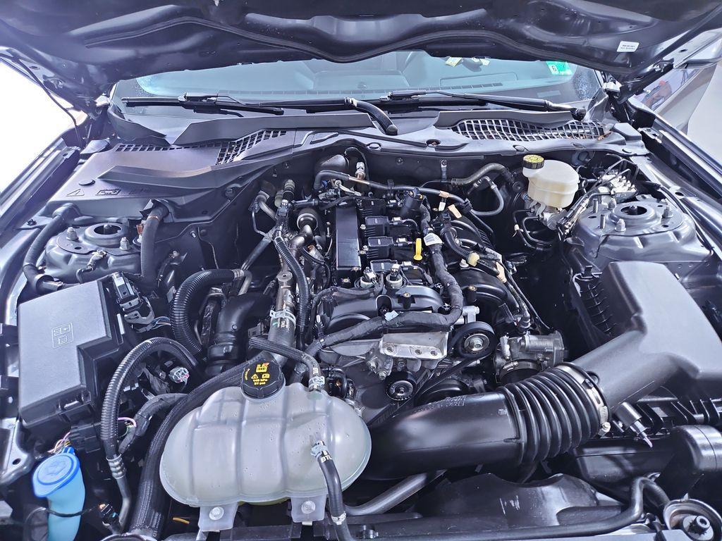 used 2021 Ford Mustang car, priced at $26,258