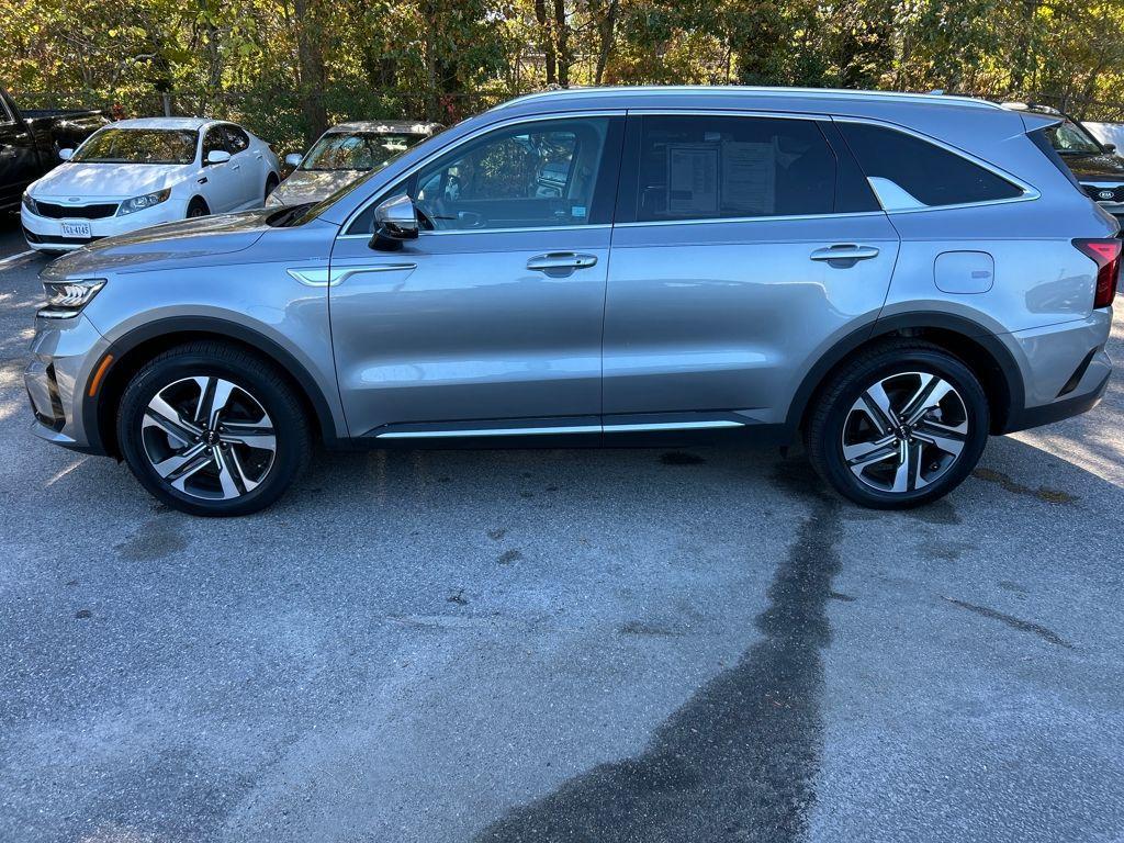 used 2023 Kia Sorento Hybrid car, priced at $34,641