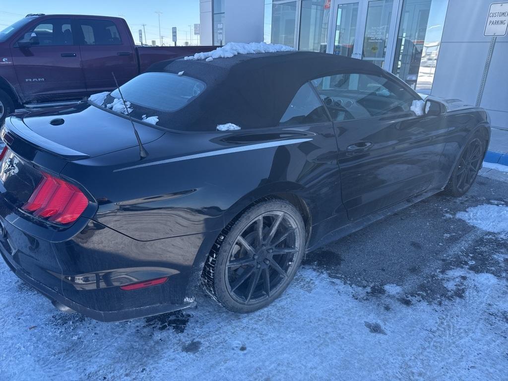 used 2019 Ford Mustang car, priced at $19,884