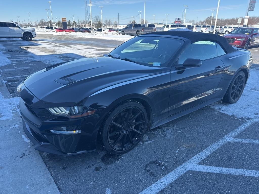 used 2019 Ford Mustang car, priced at $19,884