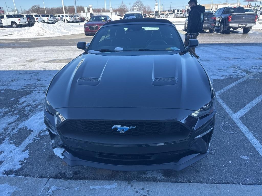 used 2019 Ford Mustang car, priced at $19,884