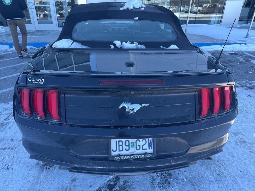 used 2019 Ford Mustang car, priced at $19,884