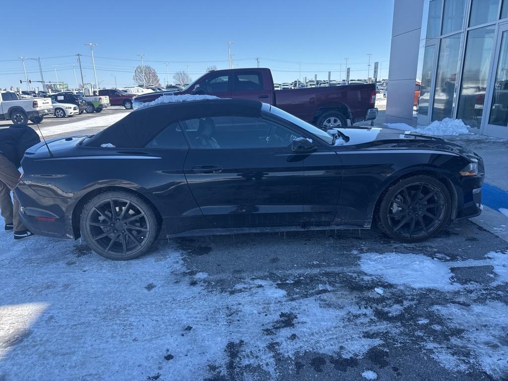 used 2019 Ford Mustang car, priced at $19,884