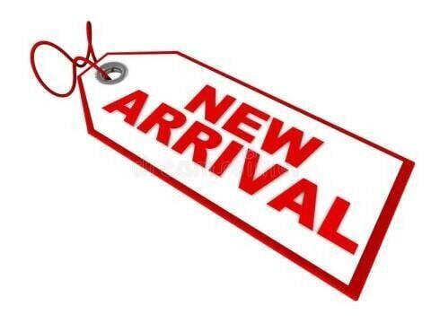 used 2006 Toyota Sienna car, priced at $8,995