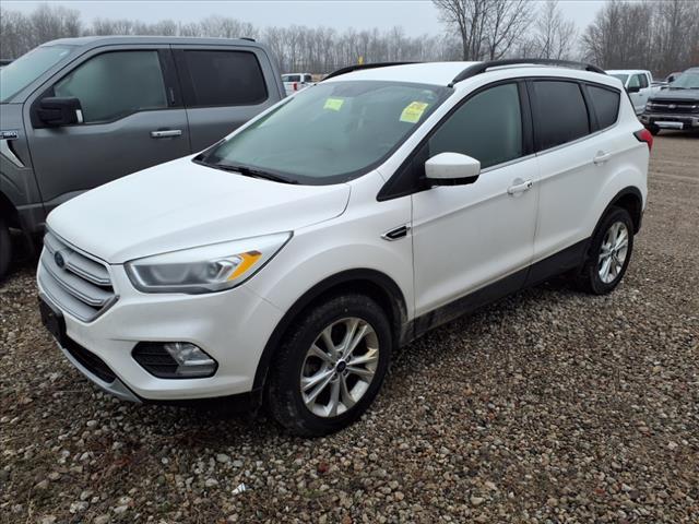 used 2019 Ford Escape car