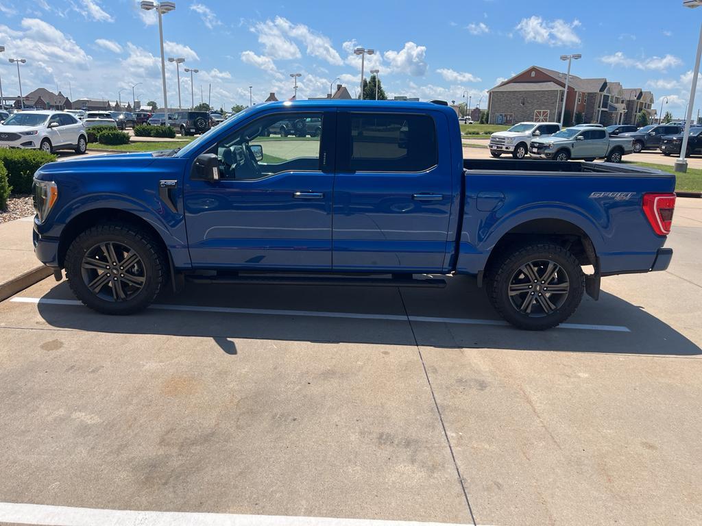 used 2022 Ford F-150 car